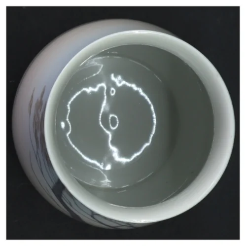 Porcelænsvase fra Royal Copenhagen (str. Størrelse, 20 x 10 cm)