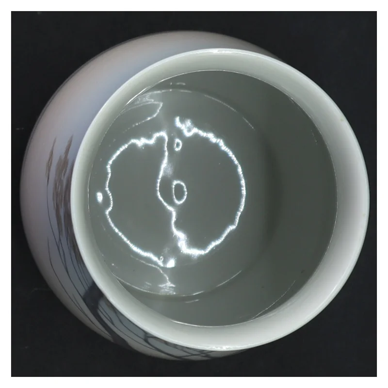 Porcelænsvase fra Royal Copenhagen (str. Størrelse, 20 x 10 cm)