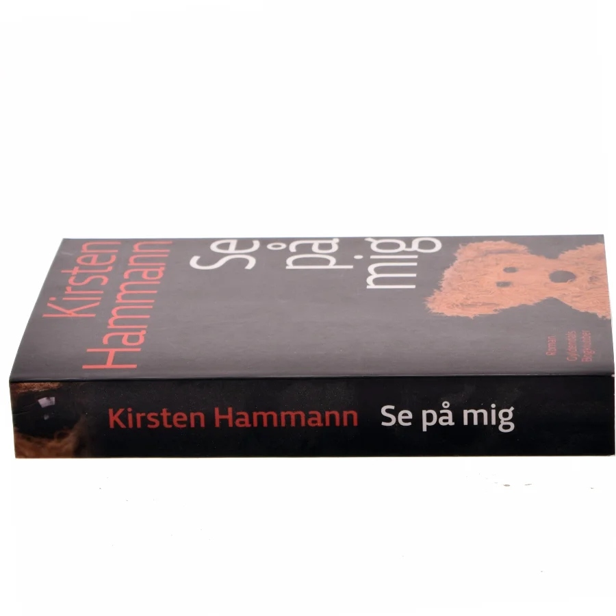 Se på mig : roman af Kirsten Hammann (Bog)