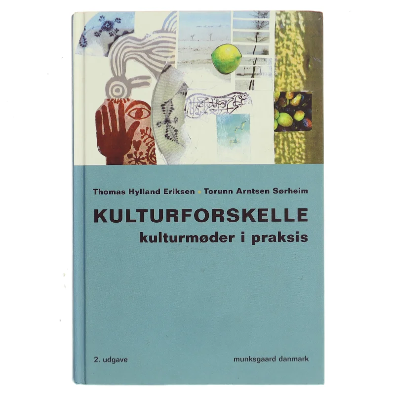 Kulturforskelle : kulturmøder i praksis (Bog)