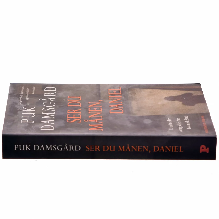 Ser du månen, Daniel af Puk Damsgård Andersen (Bog)