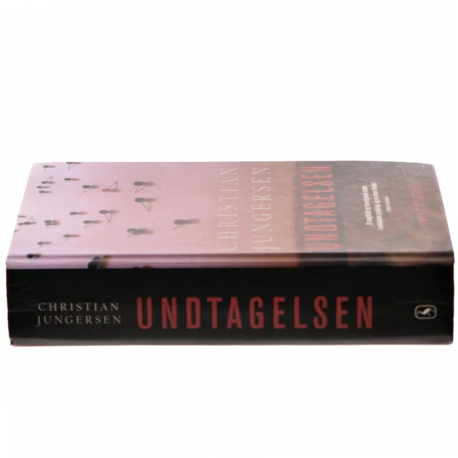 Undtagelsen af Christian Jungersen (Bog)