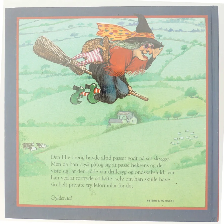 Drengen med to skygger af Margaret Mahy (Bog)