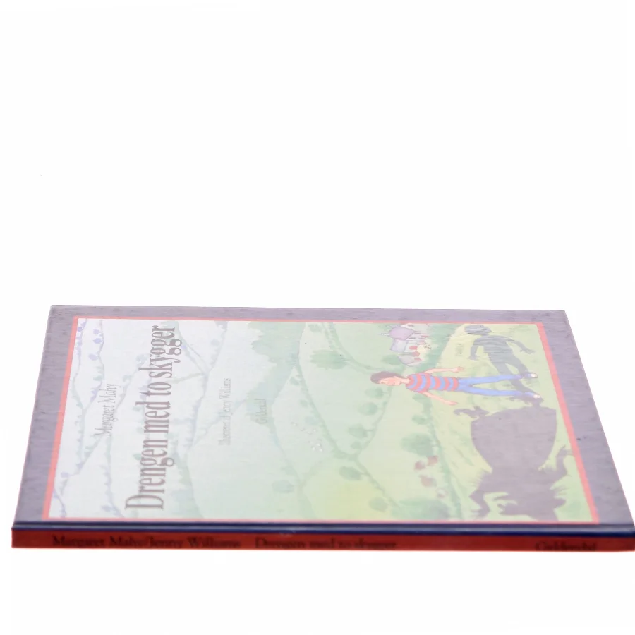 Drengen med to skygger af Margaret Mahy (Bog)