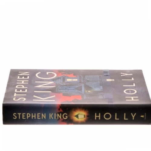 Holly : a novel af Stephen King (f. 1947) (Bog)