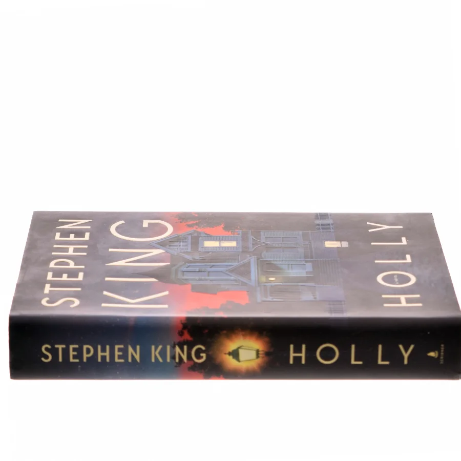 Holly : a novel af Stephen King (f. 1947) (Bog)
