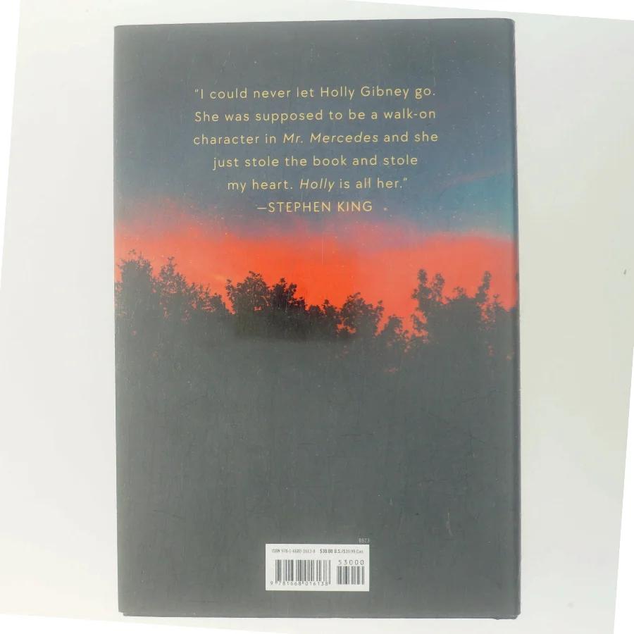 Holly : a novel af Stephen King (f. 1947) (Bog)