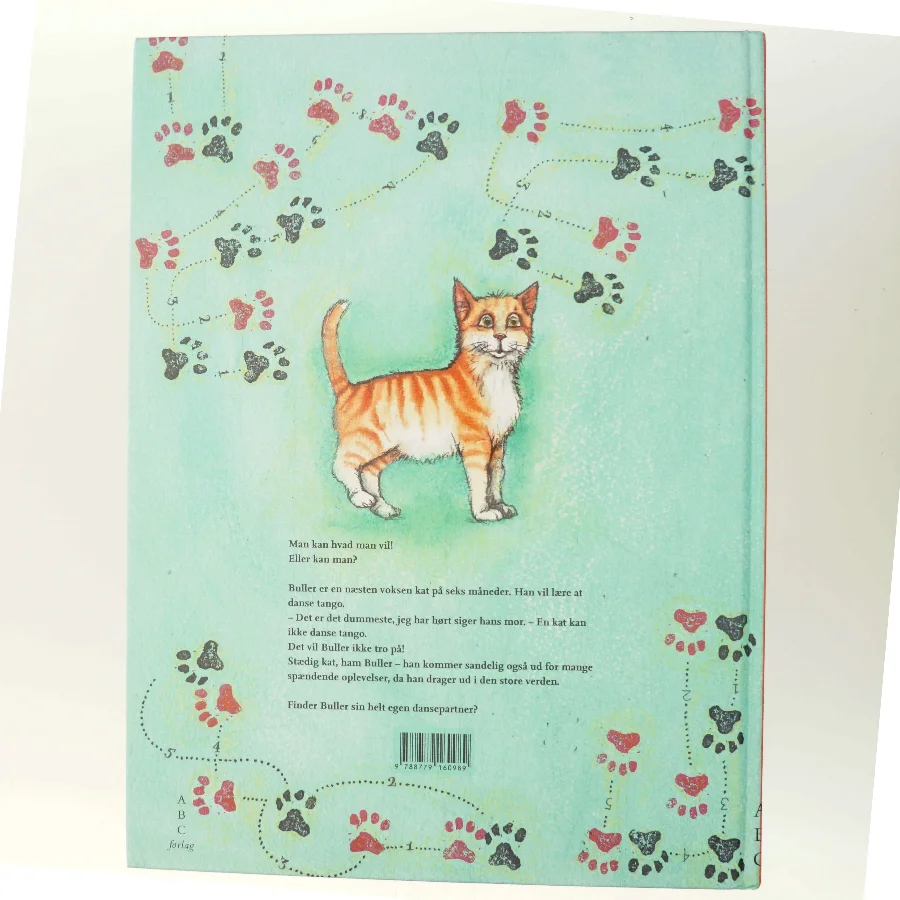 En kat kan ikke danse tango af Bjarne Dalsgaard Svendsen (Bog)