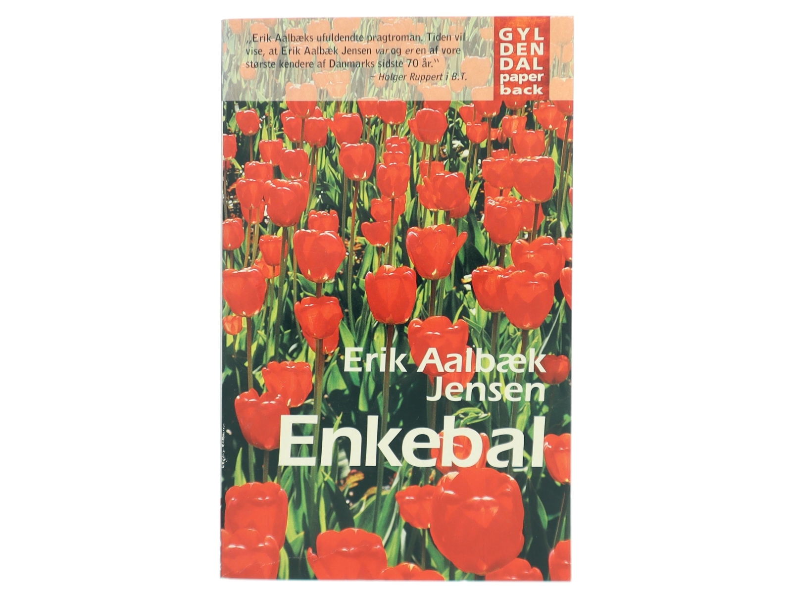 Enkebal : roman af Erik Aalbæk Jensen (Bog)