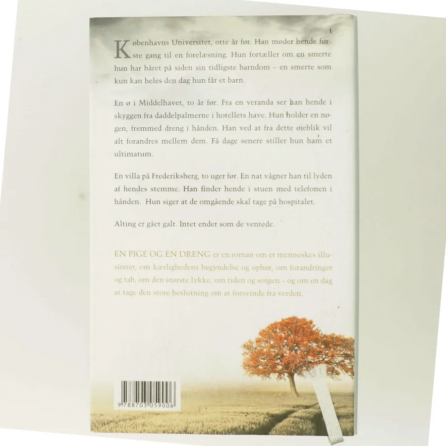 En pige og en dreng af Morten Brask (Bog)