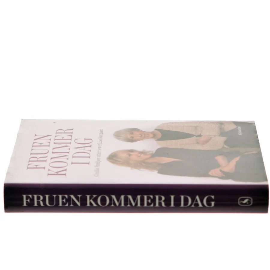 Fruen kommer i dag : Cecilie Frøkjær interviewer Lise Nørgaard af Cecilie Frøkjær (Bog)