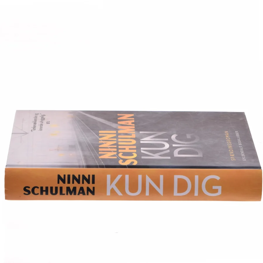 Kun dig : spændingsroman af Ninni Schulman (Bog)