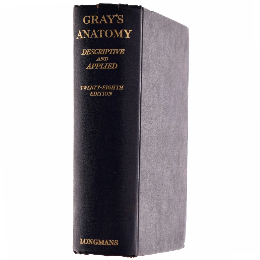Greys anatomy - fra 1946
