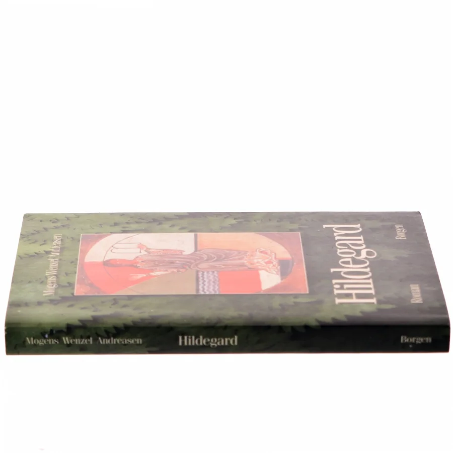 Hildegard : roman af Mogens Wenzel Andreasen (Bog)