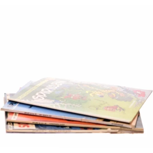 Splint & Co. Special: Spirillen af Franquin (Bog)