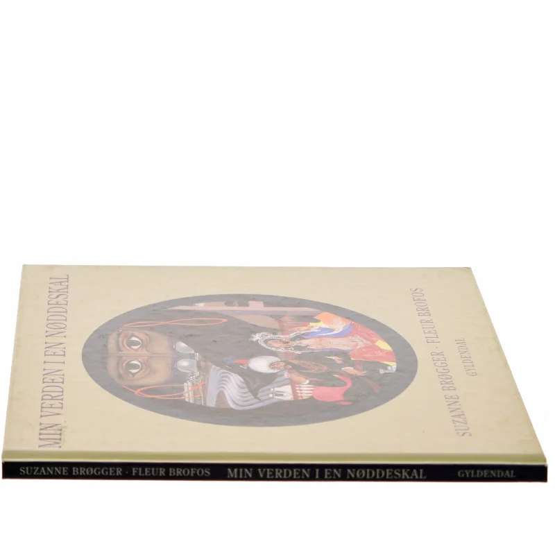 Min verden i en nøddeskal (Bog)