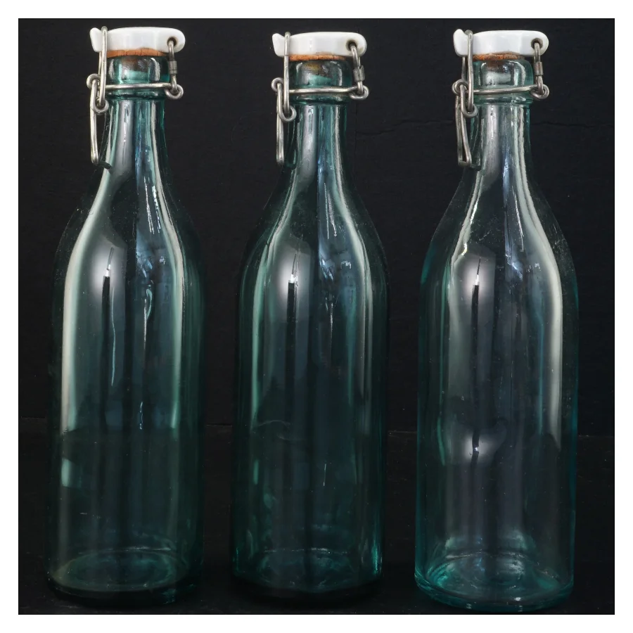 Genbrugsglasflasker med patentlukning (str. 23,5 x 6,5 cm)