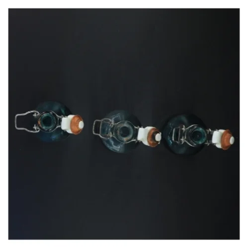 Genbrugsglasflasker med patentlukning (str. 23,5 x 6,5 cm)