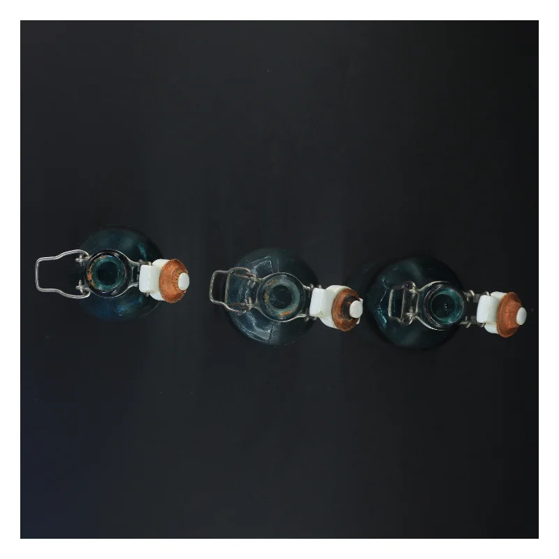 Genbrugsglasflasker med patentlukning (str. 23,5 x 6,5 cm)