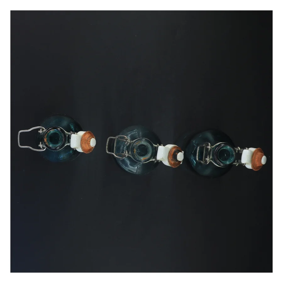 Genbrugsglasflasker med patentlukning (str. 23,5 x 6,5 cm)