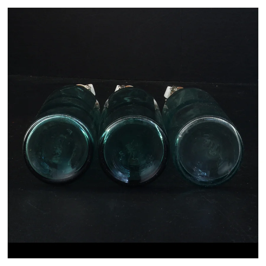 Genbrugsglasflasker med patentlukning (str. 23,5 x 6,5 cm)