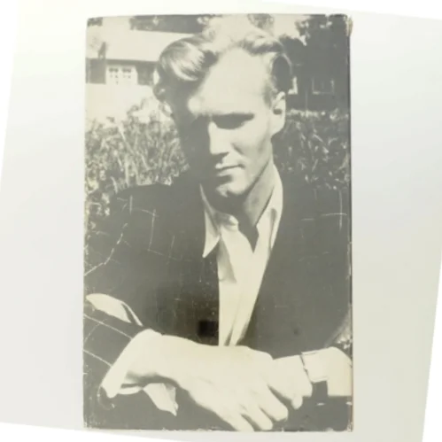 Romance for valdhorn af Ole Wivel (Bog)