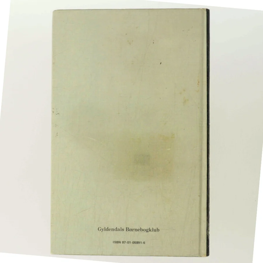 Jerutte og Hundejens og bjørnen på Ræverød af Cecil Bødker (Bog)