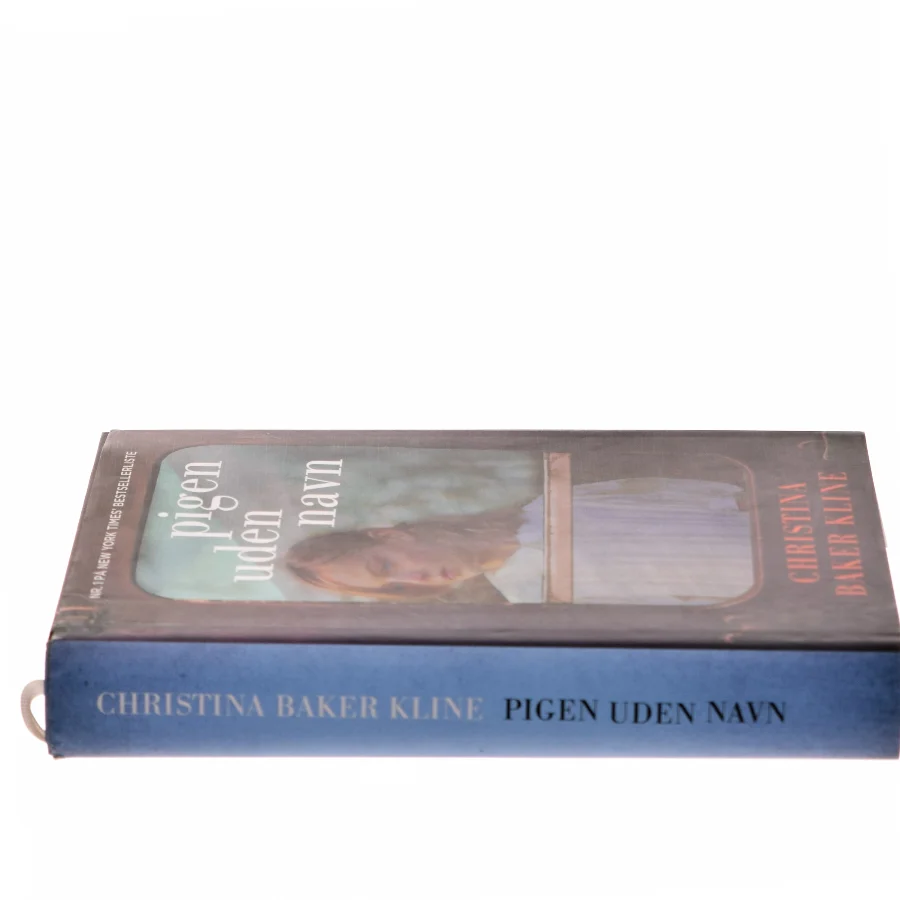 Pigen uden navn af Christina Baker Kline (f. 1964) (Bog)