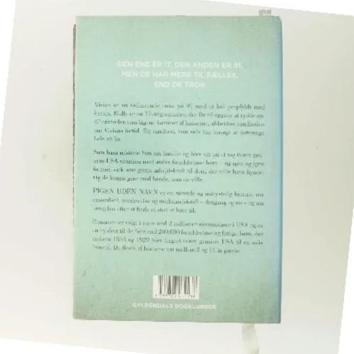 Pigen uden navn af Christina Baker Kline (f. 1964) (Bog)