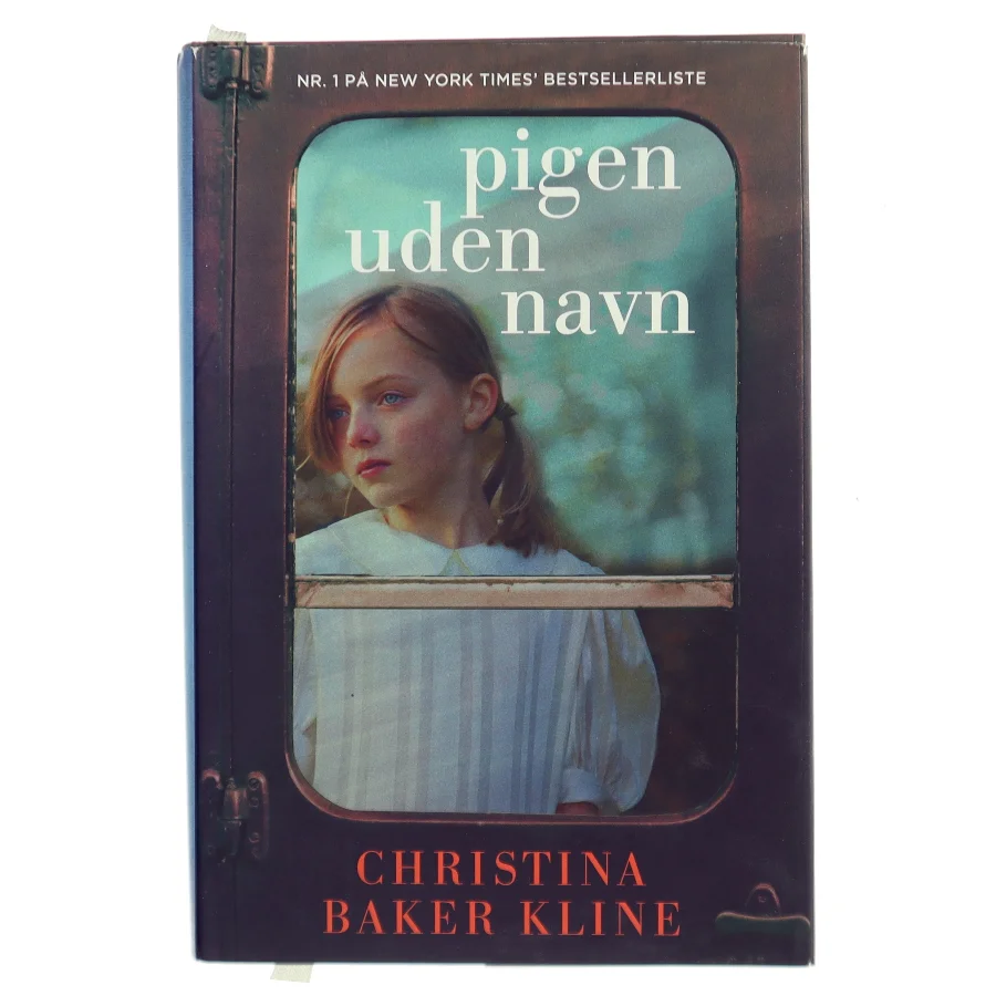 Pigen uden navn af Christina Baker Kline (f. 1964) (Bog)
