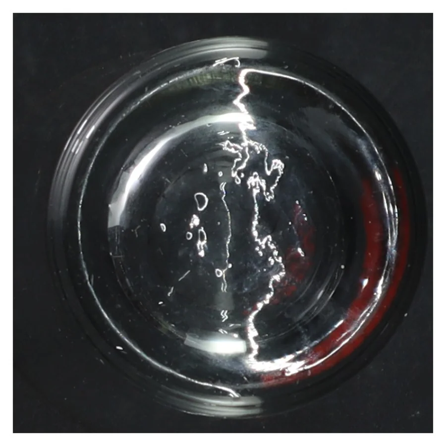 Carlsberg Export Beer Glas fra Carlsberg (str. H. 14,5 cm, ø 7,5 cm)