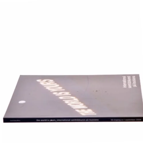 The World Is Yours af Monica Bonvicini (Bog)