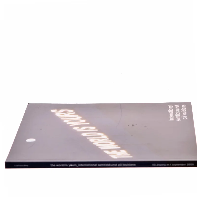 The World Is Yours af Monica Bonvicini (Bog)