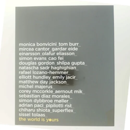 The World Is Yours af Monica Bonvicini (Bog)