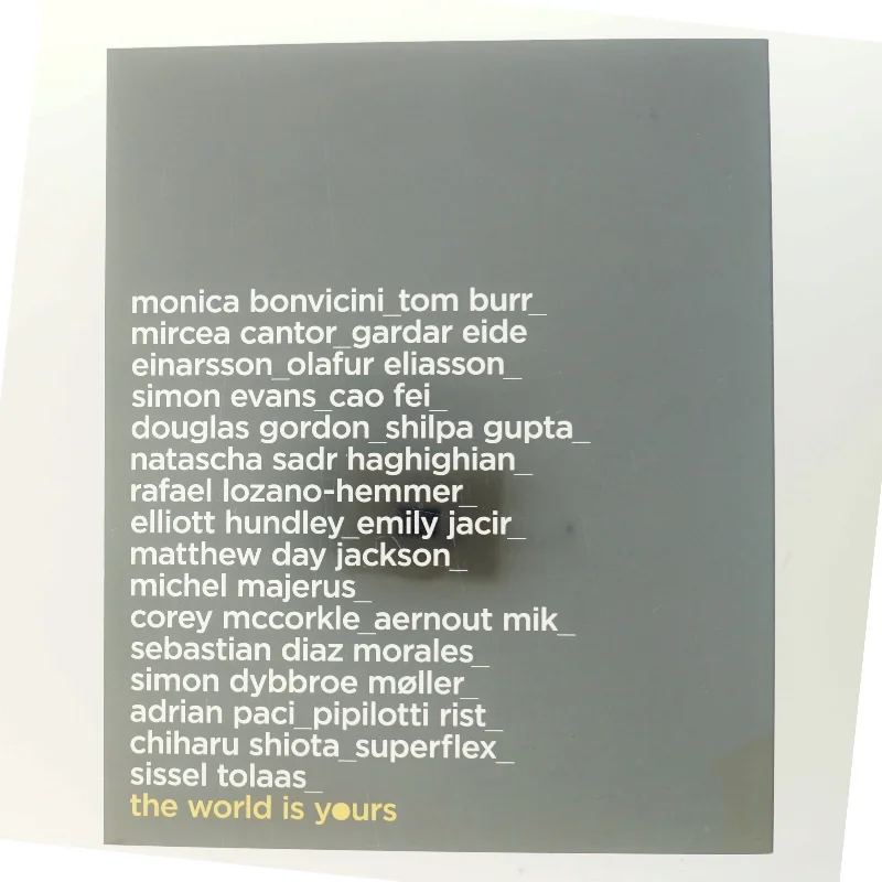 The World Is Yours af Monica Bonvicini (Bog)