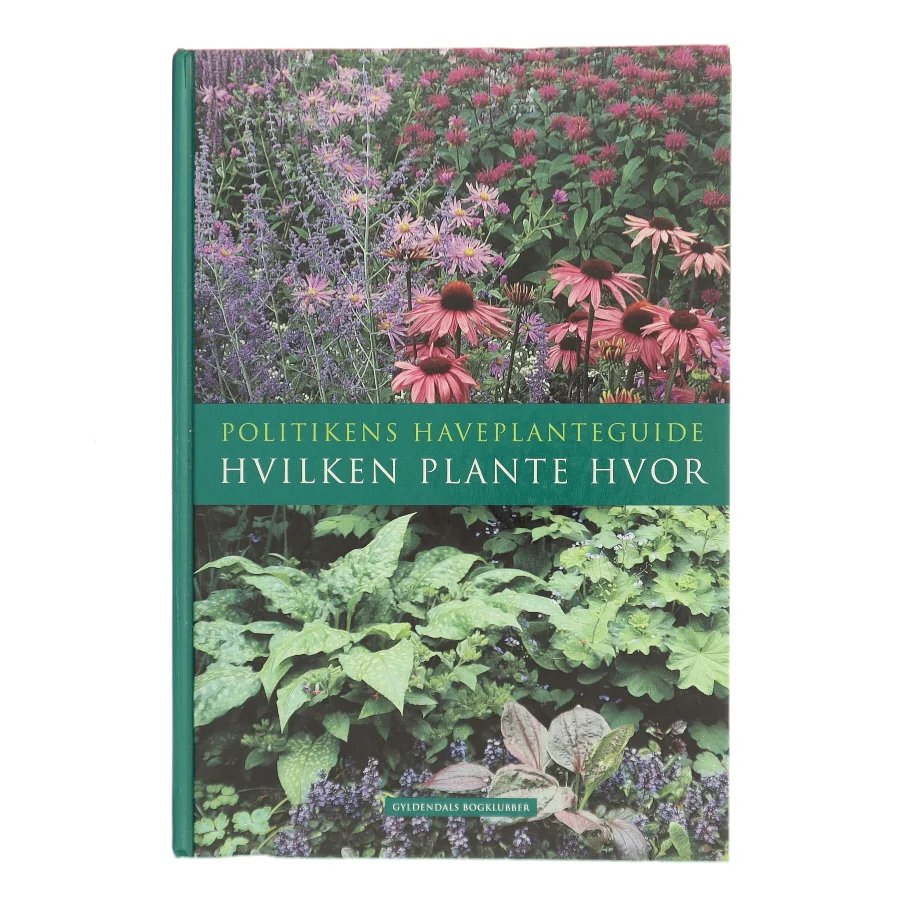 Hvilken plante hvor af Jane Schul (Bog)
