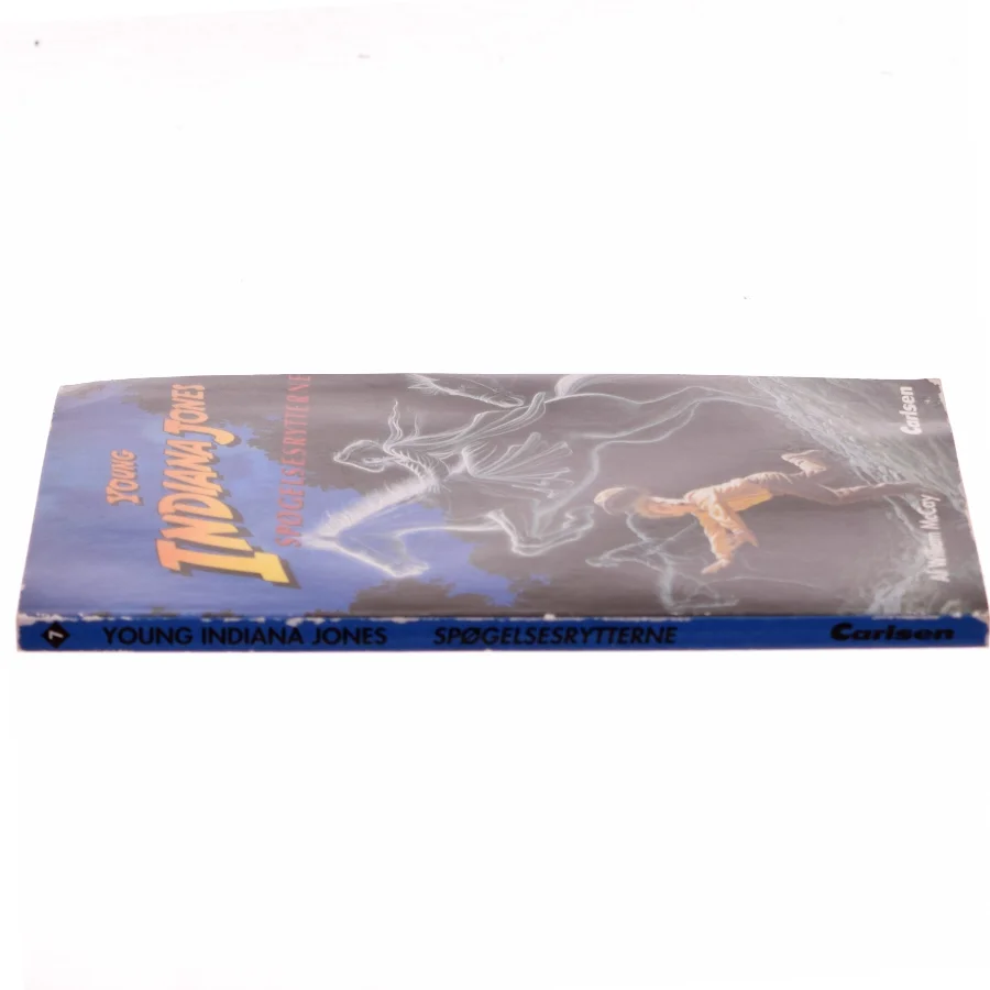 Spøgelsesrytterne af William McCay (Bog)