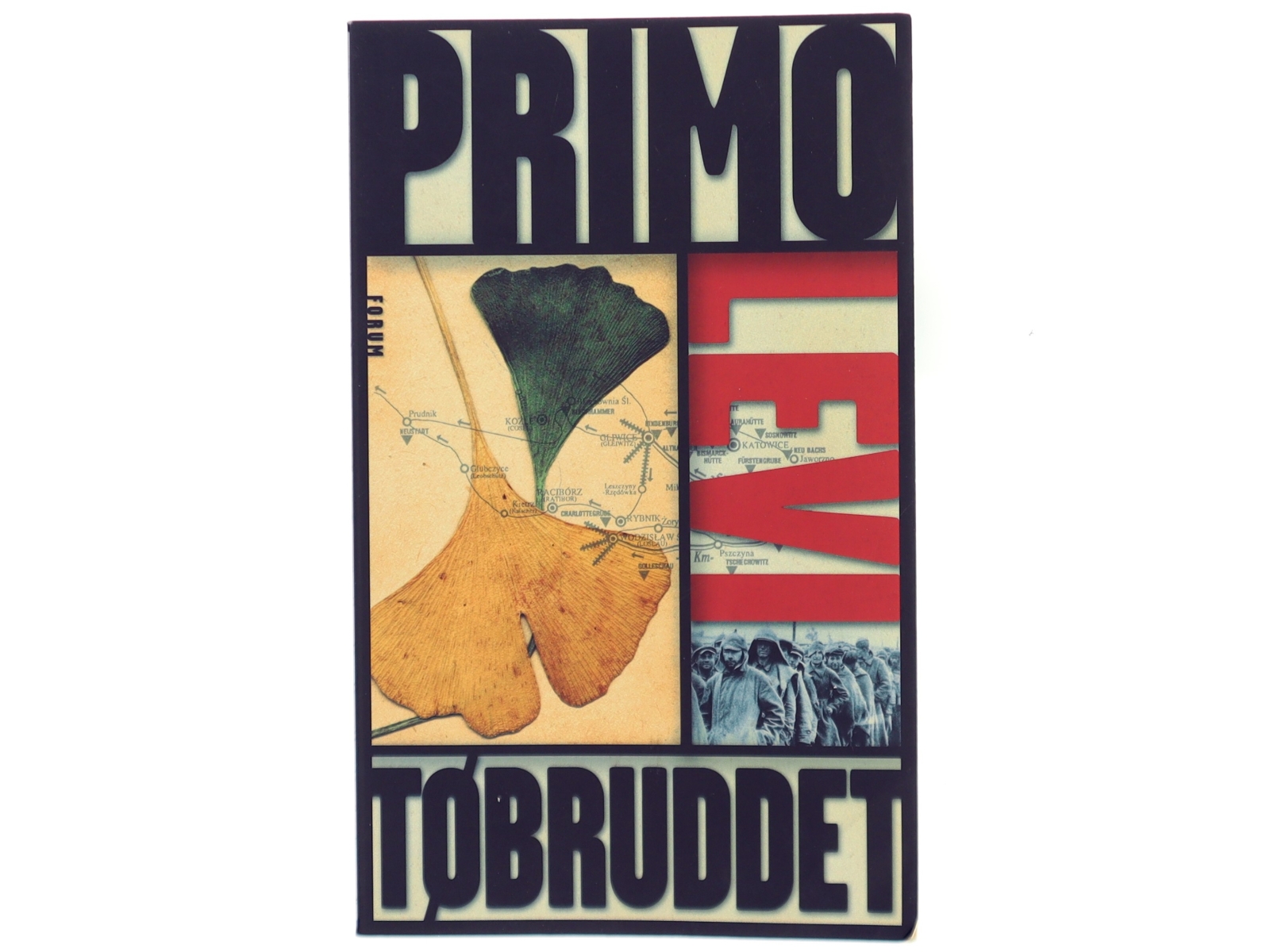 Tøbruddet af Primo Levi (Bog)