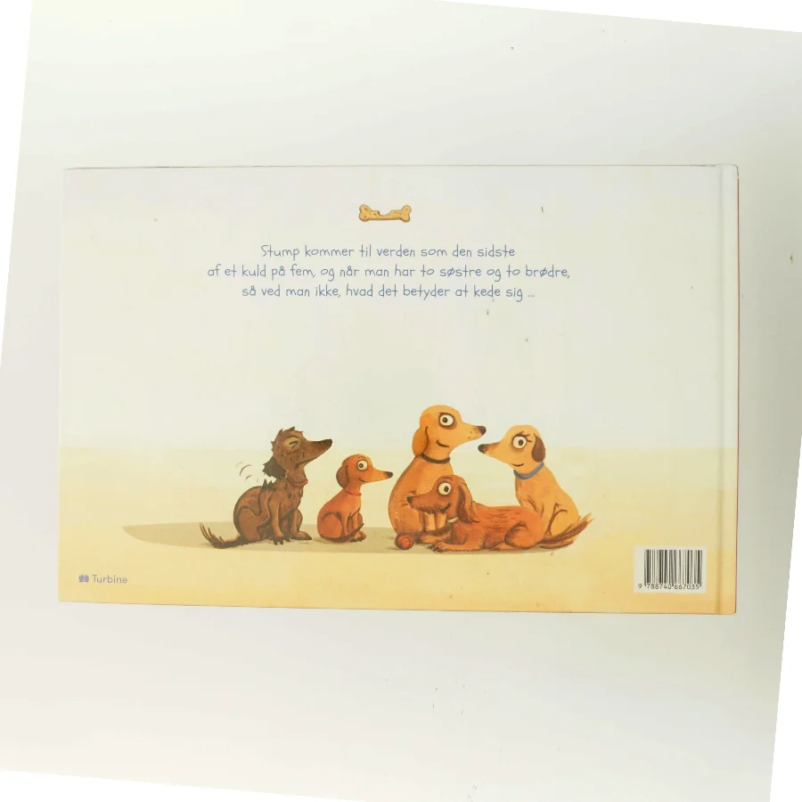 Stump af Regina Kehn (Bog)