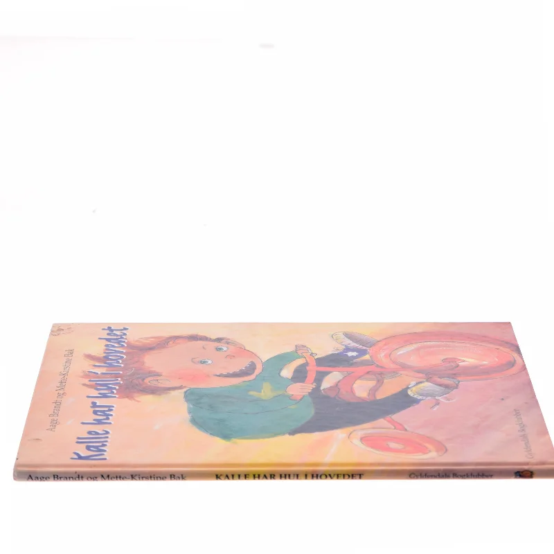 Kalle har hul i hovedet (Bog)