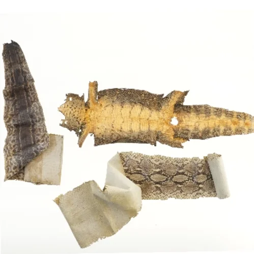 Slangeskind og krokodilleskind (str. 69 cm)