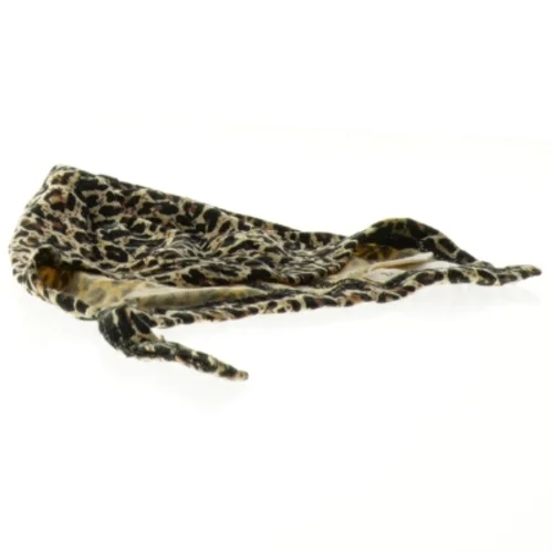 Leopardmønstret hue til baby (str. Størrelse ikke angivet)