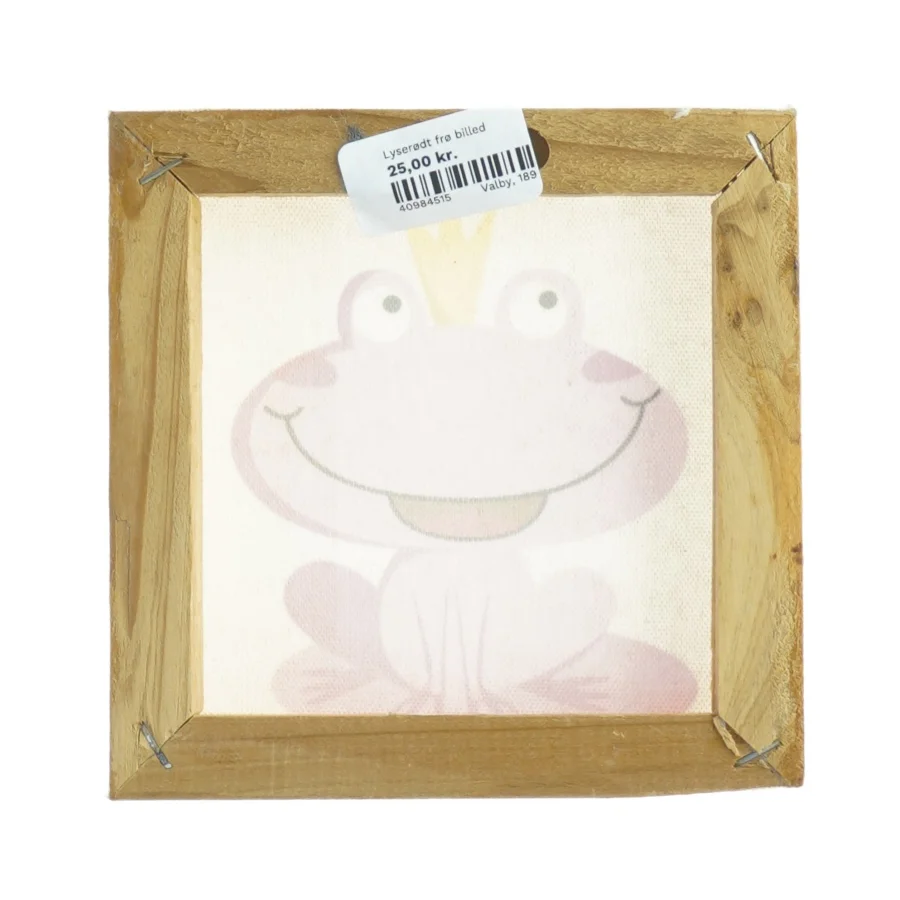 Billedramme med frømotiv (str. 14 x 14 cm)