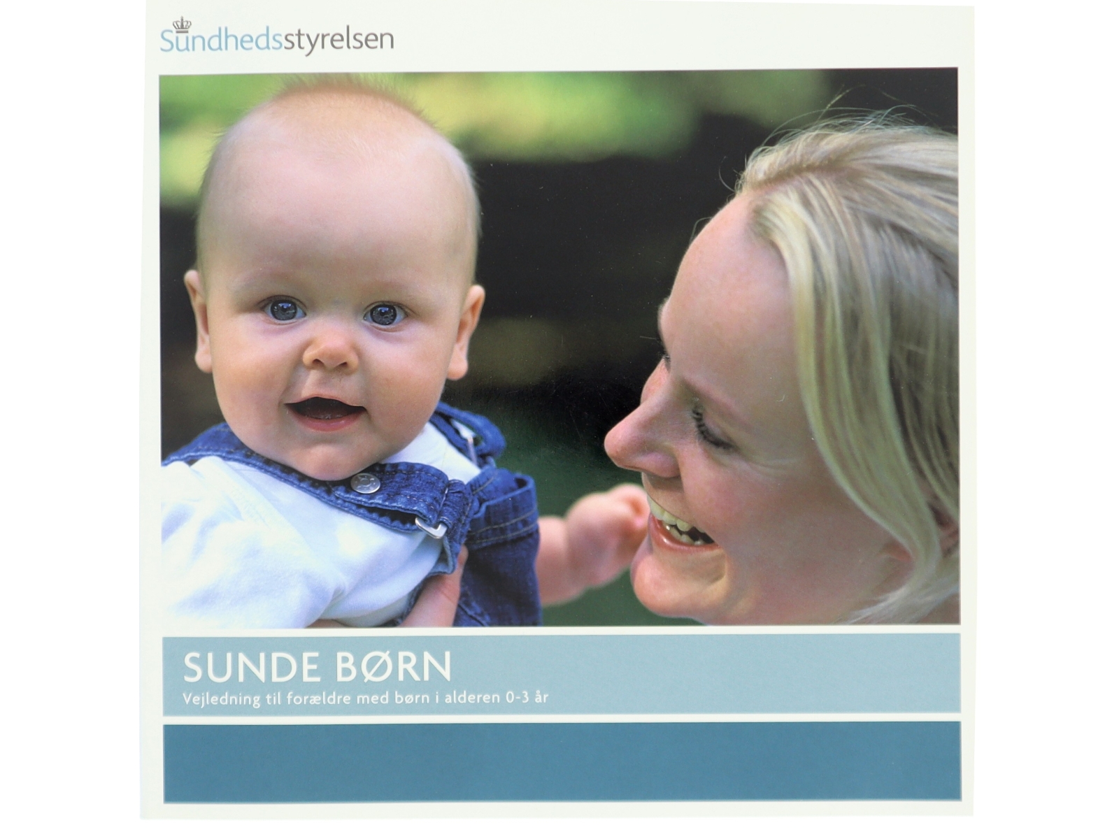 Sunde børn : vejledning til forældre med børn i alderen 0-3 år af Marianne Wung-Sung (Bog)