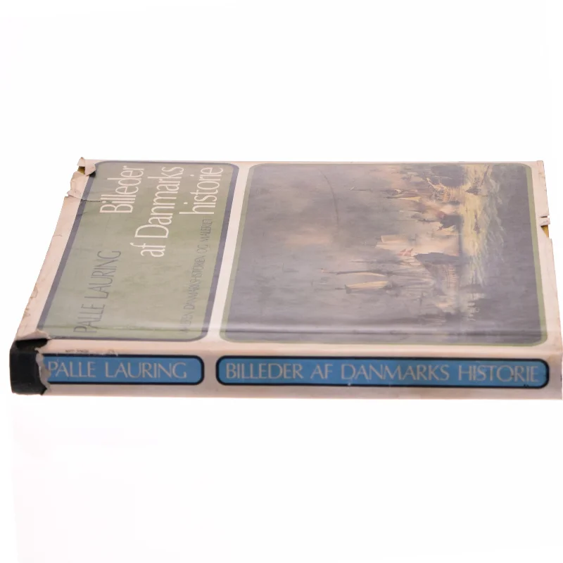 Billeder af Danmarks historie bog