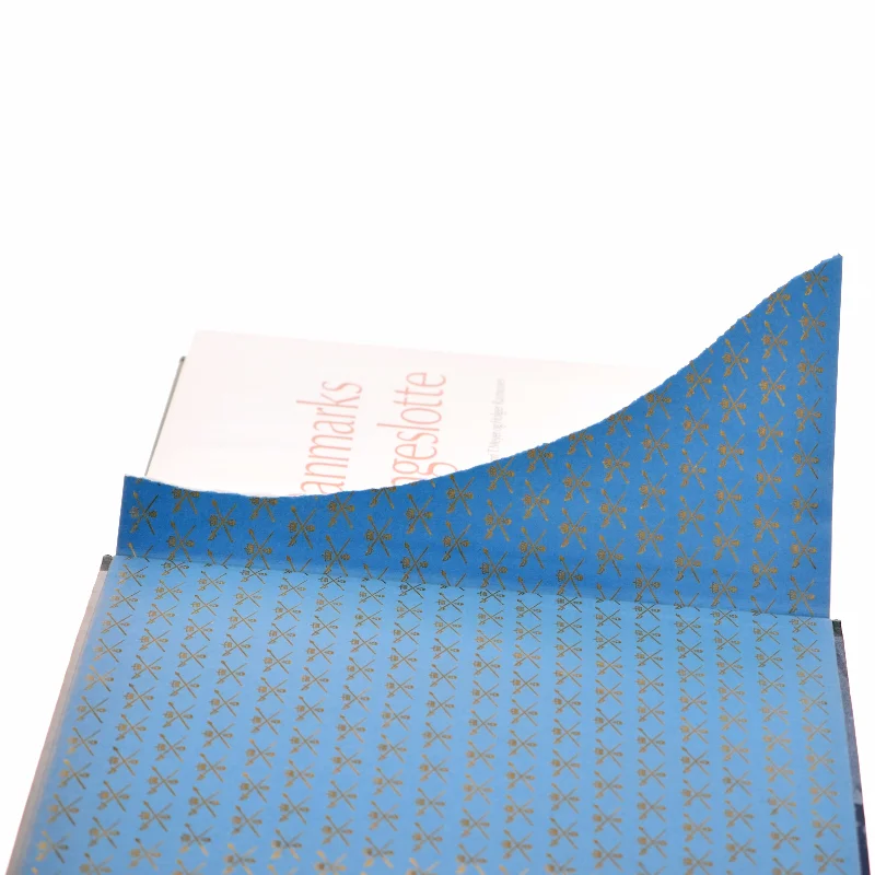 Bog om Danmarks kongeslotte