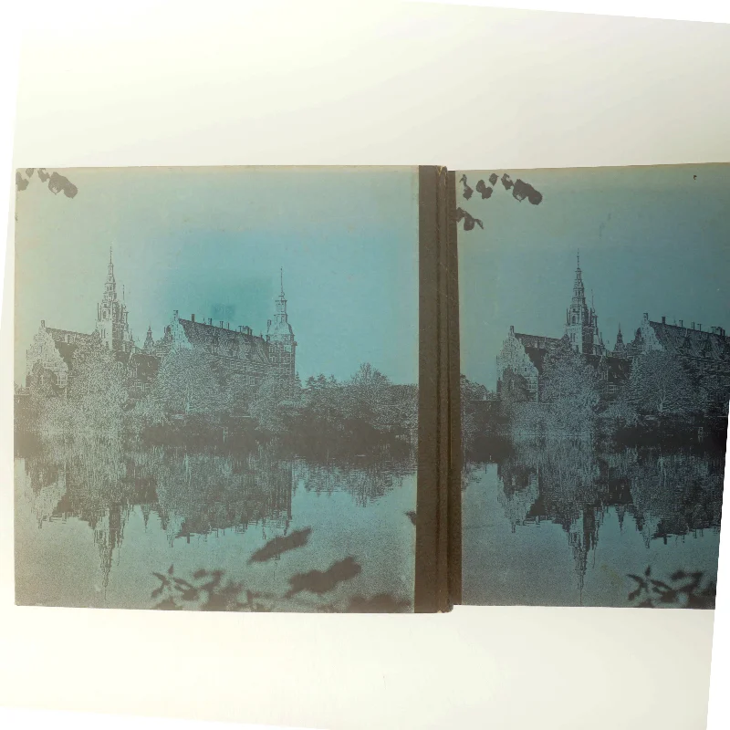 Bog om Danmarks kongeslotte