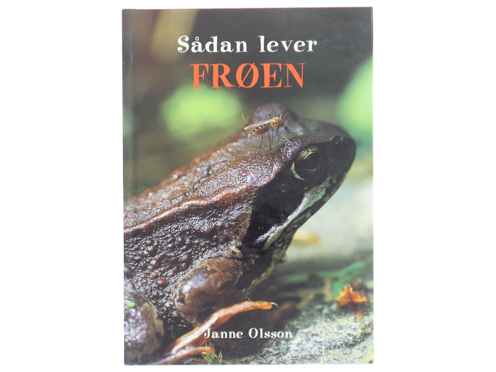 Sådan lever frøen af Janne Olsson (Bog)