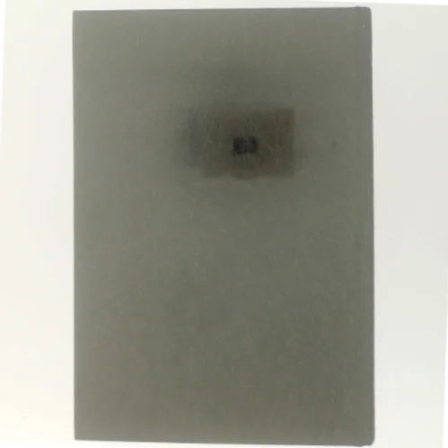 Autobiografi 'The Godfather of Poker' af Doyle Brunson