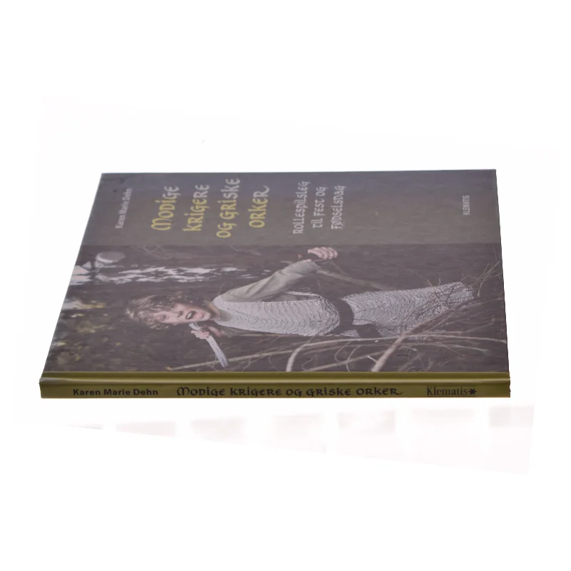 Modige krigere og griske orker : rollespilsleg til fest og fødselsdag af Karen Marie Dehn (Bog)